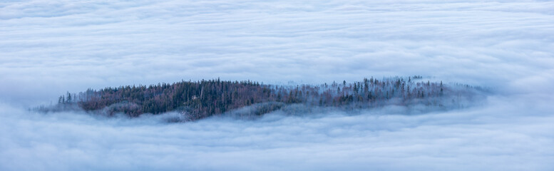 Wall Mural - panorama of forest island in a sea of fog, bohemian forest, czech republic