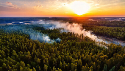 Wall Mural - forest on fires illustration, part 1