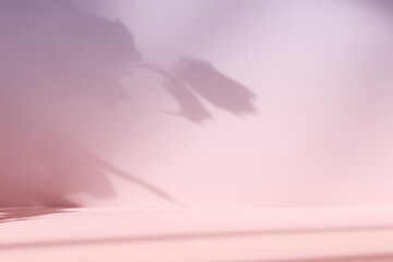 Fototapete - Abstract pink color gradient studio background for product presentation. Empty room with shadows of window and flowers and plant leaves . 3d purple room with copy space. Blurred backdrop.