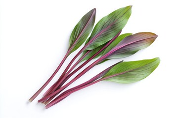 Wall Mural - Fresh ramp leaves with purple stems, minimalist style, green and purple colors, food photography