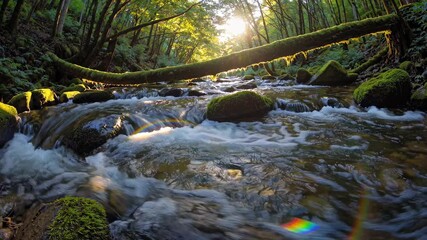 Aufkleber - Serene river flows through lush forest at sunset in a peaceful natural setting