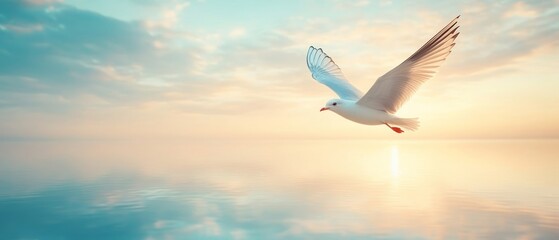 Wall Mural - A seagull soars above tranquil waters at sunrise, illuminated by soft pastel shades in the sky, creating a serene and peaceful atmosphere