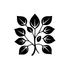 Wall Mural - Elegant Black and White Botanical Illustration: Minimalist Plant Branch with Leaves - Nature-Inspired Design