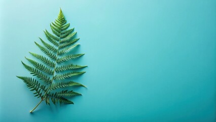 Poster - Single fern frond on a teal background, showcasing vibrant green foliage and ample copy space for text or design elements.