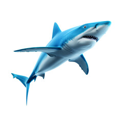 Wall Mural - majestic shark in motion captured swimming with powerful grace and elegance