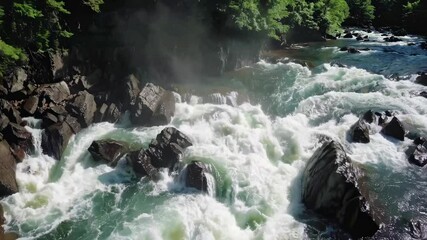 Aufkleber - Exploring a serene river with lush green foliage and rushing water in a tranquil forest setting