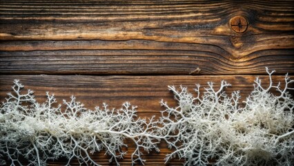 Poster - Rustic Wooden Background with Delicate White Floral Arrangement