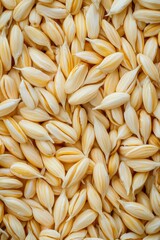Poster - A detailed shot of a stack of barley