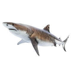 Wall Mural - realistic image of tiger shark swimming with distinctive stripes and sharp teeth in clear waters