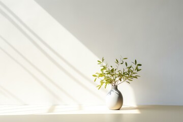 Poster - Sunlight creating shadows on a minimal white wall with a plant in a vase on a table