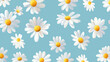 © Aisyaqilumar - A pattern of white daisies with yellow centers on a light blue background. The daisies are scattered across the image, creating a cheerful and bright floral design.