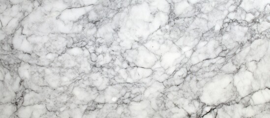 Poster - White marble texture with gray veining suitable for background use and design applications Copy Space