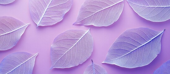 Poster - Purple translucent leaves on a soft purple background with ample copy space for text placement.