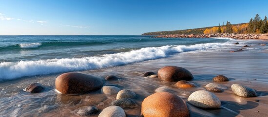 Wall Mural - Beach shoreline with smooth colored stones, gentle waves, clear blue sky and trees in the background, Copy Space