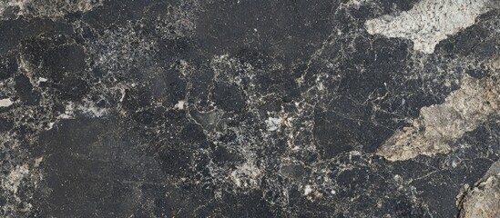 Poster - Black marble stone surface with white and grey veining suitable for backgrounds and textures Copy Space