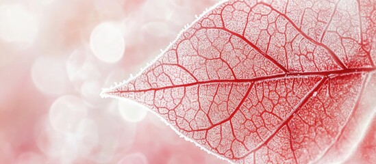 Poster - Close-up of a textured red leaf with intricate vein pattern against a blurred pastel background with bokeh effect Copy Space