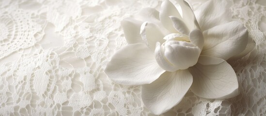 Poster - White flower on lace fabric with soft lighting and textured background