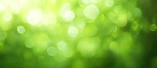 Poster - Green Nature Bokeh Background with Sunlight and Blurred Foliage