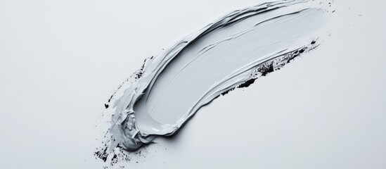 Poster - Gray Paint Brush Stroke on White Background with Texture and Copy Space