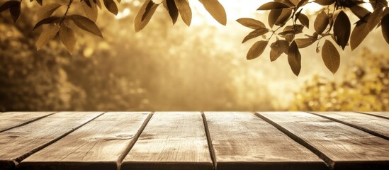 Poster - Rustic Wooden Tabletop with Foliage in Sunlit Background and Copy Space