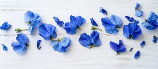 Poster - Blue flower petals scattered on white wooden background with copy space