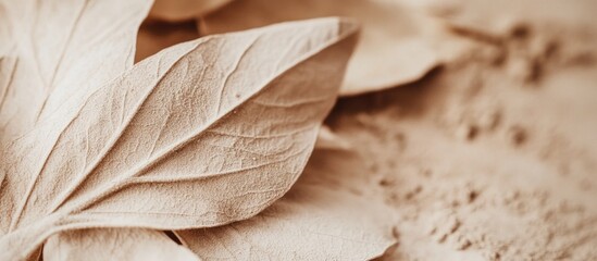 Poster - Dry autumn leaves on textured beige surface, close-up with detailed leaf veins, suggesting natural seasonal background.