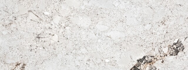 Poster - White and Gray Rough Marble Texture with Natural Veining Patterns