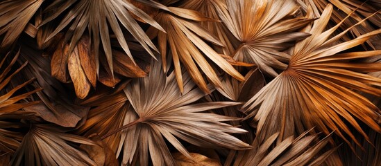 Poster - Dried Palm Leaves Overlapping in Brown and Orange Tones