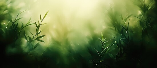 Poster - Abstract blurred greenery background with sunlight filtering through leaves, creating a natural bokeh effect and highlighting plant details.