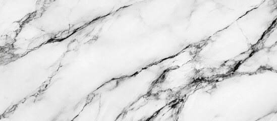 Poster - white marble texture with black veining pattern background, copy space