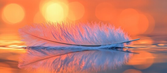 Poster - Soft Feather Floating on Water Surface with Vibrant Orange Sunset Reflection