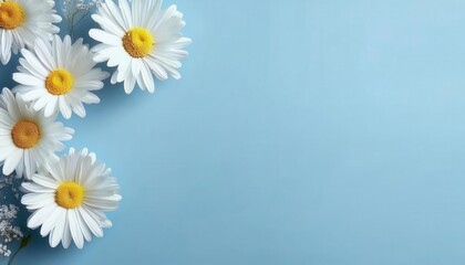 Poster - close-up of fresh daisy flowers against a soft blue background, perfect for nature, spring, and floral themed designs