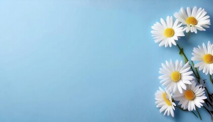 Poster - close-up of fresh daisy flowers against a soft blue background, perfect for nature, spring, and floral themed designs