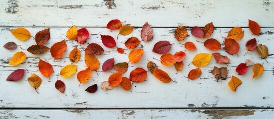 Poster - Colorful autumn leaves arranged on weathered white wooden surface with copy space for text insertion.