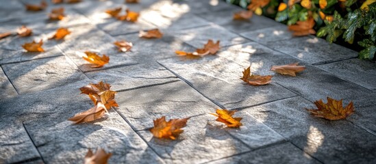 Poster - Autumn leaves scattered on textured stone pavement with sunlight and shadow effects landscape orientation Copy Space