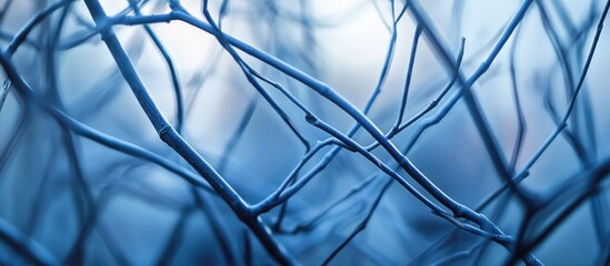 Poster - Blue toned abstract background featuring intricate patterns of intertwined twigs and branches, nature detail with copy space