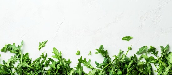 Wall Mural - Fresh arugula leaves arranged on white textured background with ample copy space for text insertion