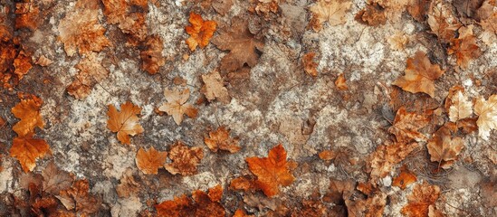Poster - Autumn leaves scattered on ground surface with earthy tones and texture providing natural background with Copy Space