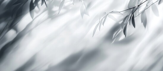 Poster - Bamboo leaves silhouette with soft shadows and light background suitable for various design projects with Copy Space