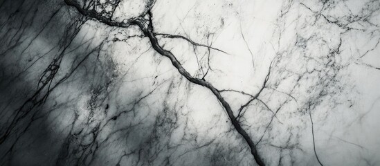 Poster - Black and white marble texture with intricate veining and natural patterns suitable for backgrounds and design use Copy Space