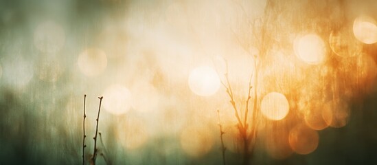 Poster - Abstract blurred background with warm colors and soft bokeh effect featuring delicate twigs, ideal for creating a tranquil atmosphere, Copy Space