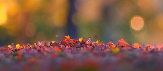 Poster - Autumn leaves on ground with blurred background and bokeh effect in warm colors Copy Space