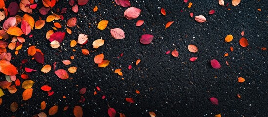 Poster - Colorful autumn leaves scattered on dark asphalt surface with ample copy space for text placement.