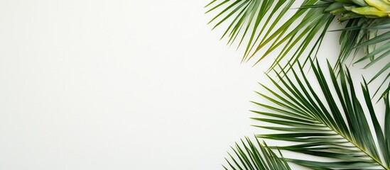 Poster - Green tropical palm leaves arranged on a light background with ample copy space for text placement.
