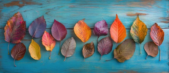 Poster - Colorful autumn leaves arranged in a row on a rustic blue wooden background with ample Copy Space for text insertion