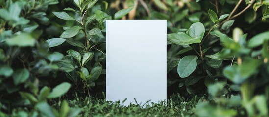Poster - Blank white card surrounded by lush green foliage in natural outdoor setting with Copy Space for text placement