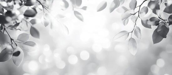 Poster - Black and white background featuring soft-focus leaves and bokeh lights with copy space for text insertion