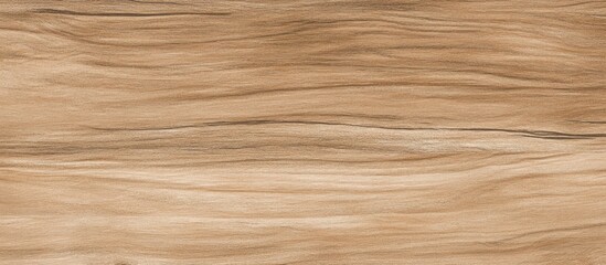 Poster - Natural wood texture background with smooth grain patterns ideal for design projects and providing a warm aesthetic with copy space.