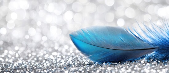 Poster - Blue feather on sparkling silver glitter background with bokeh effect ideal for artistic and decorative purposes Copy Space