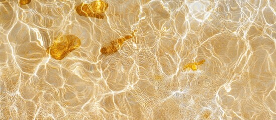 Poster - Clear water surface with golden stones underwater reflecting light in tranquil patterns Copy Space